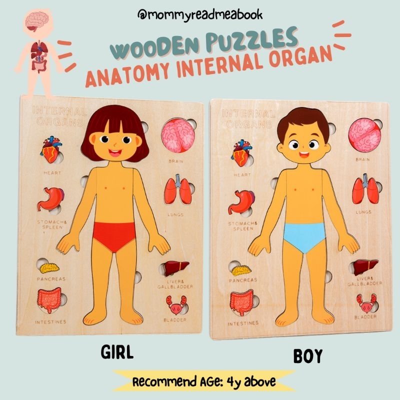 Montessori Human Anatomy Wooden Puzzles Wooden Kid human body puzzle ...