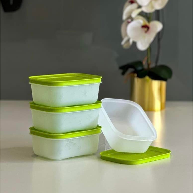 Tupperware Chill Freez Small Low (4) 450ml Bekas Frozen Makanan Beku ...