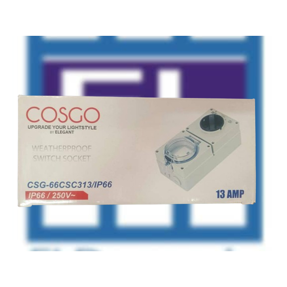 COSGO CSG-66CSC313/IP66 WEATHERPROOF SWITCH SOCKET 3P 13A | Shopee Malaysia