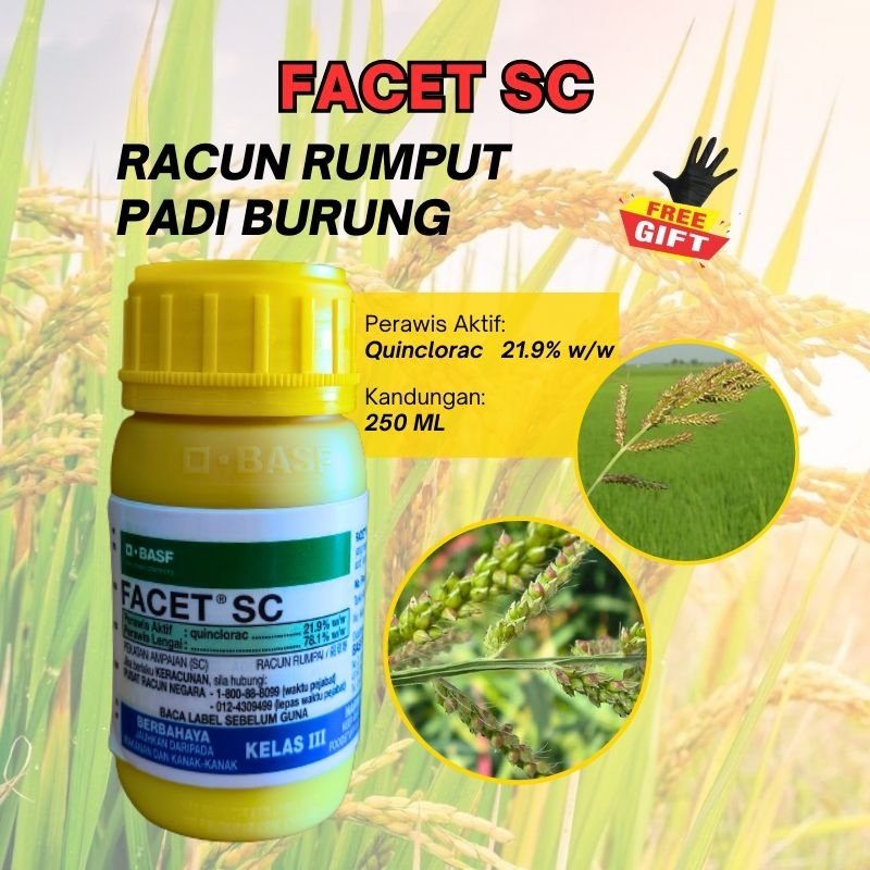 Facet Sc Racun Rumpai Padi Burung Herbicide Weed Killer Racun Khas