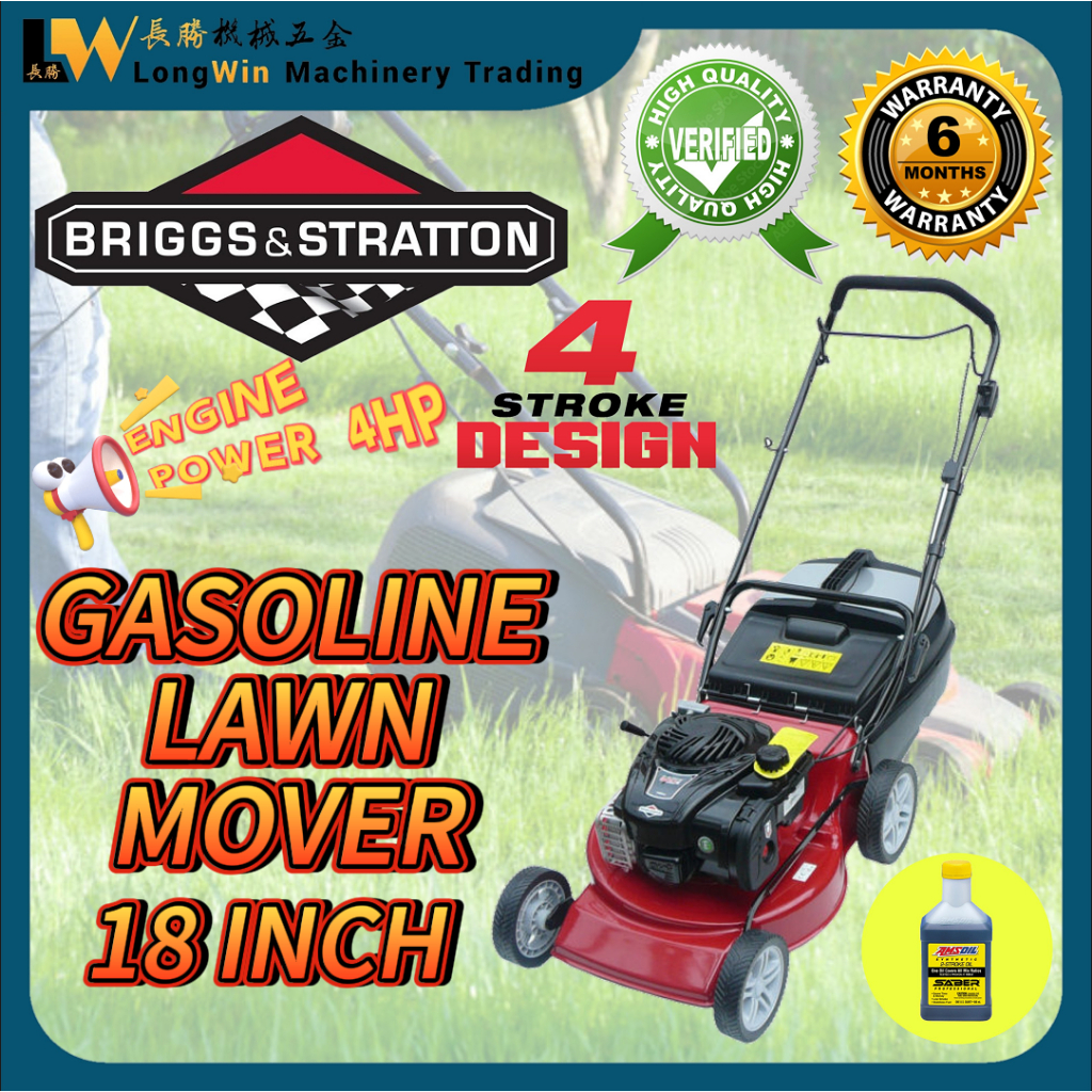 Briggs and Stratton(B&S) 450E 18