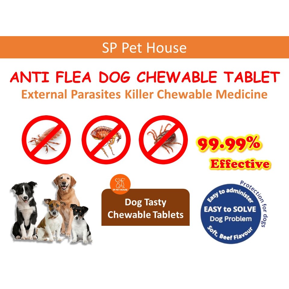 Beef Flavor Dog Protection Medicine Tablet For Anti Ticks Fleas Lice