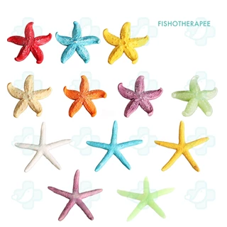 4 Pcs Fish Decorations for Tank Sea Home Starfish Decorative Accessories Artificial Stars Centerpiece Table Bowl Mediterranean Starfishes, Women's