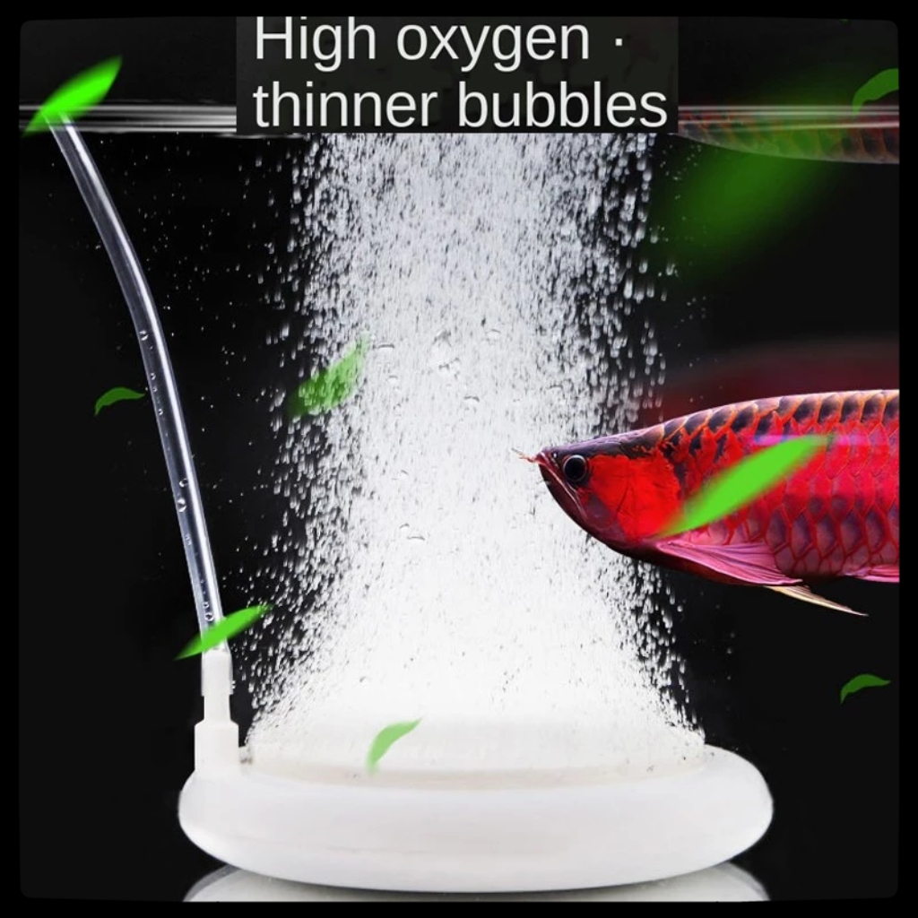 Aquarium Nano Bubble Stone High End Ceramic 50mm 100mm | Shopee Malaysia