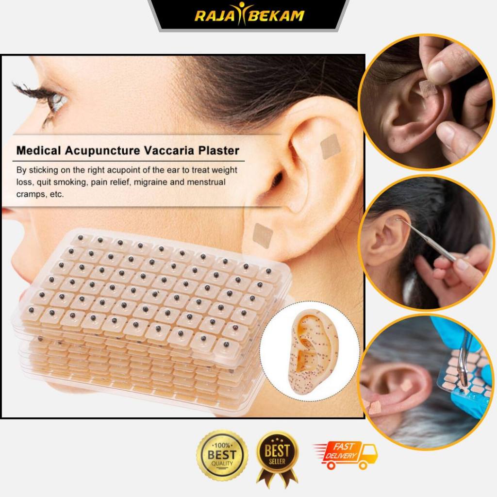 Acupuncture Needle Ear Seeds 60pcs / 1 pack and 600pcs / 10 pack