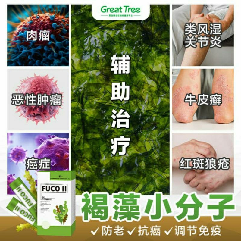 [Great Tree] Formosa Biomedical FUCO ll [褐藻小分子] Cancer Supplement ...