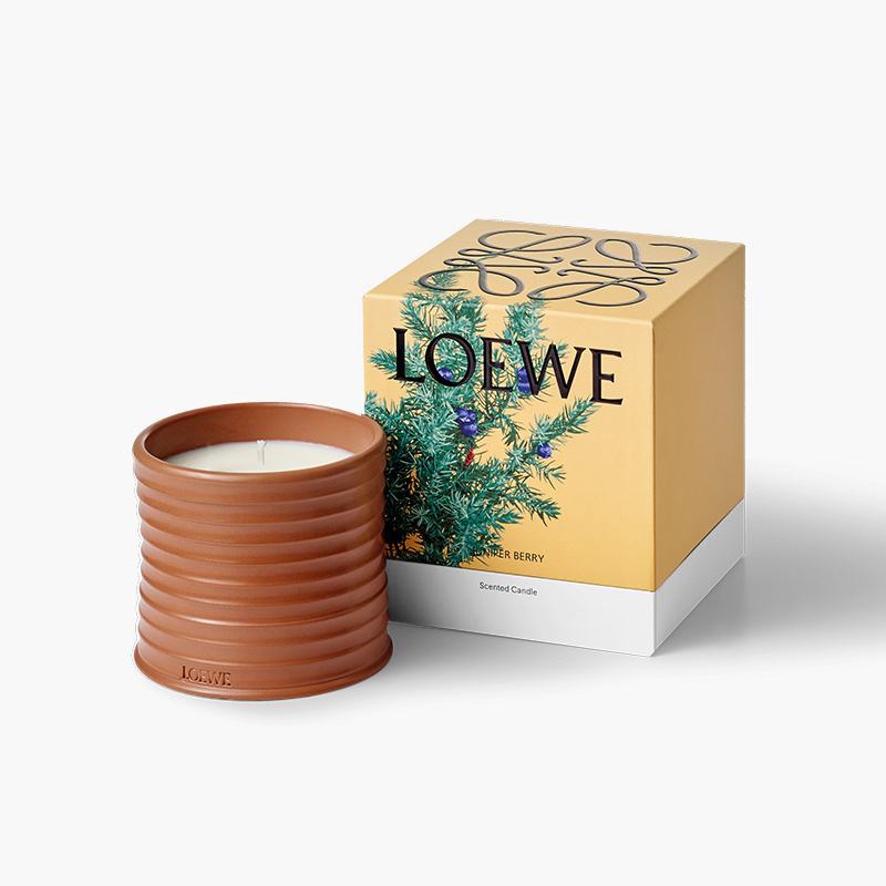 LOEWE Scented Candle 12 Fragrances - 170g | Shopee Malaysia