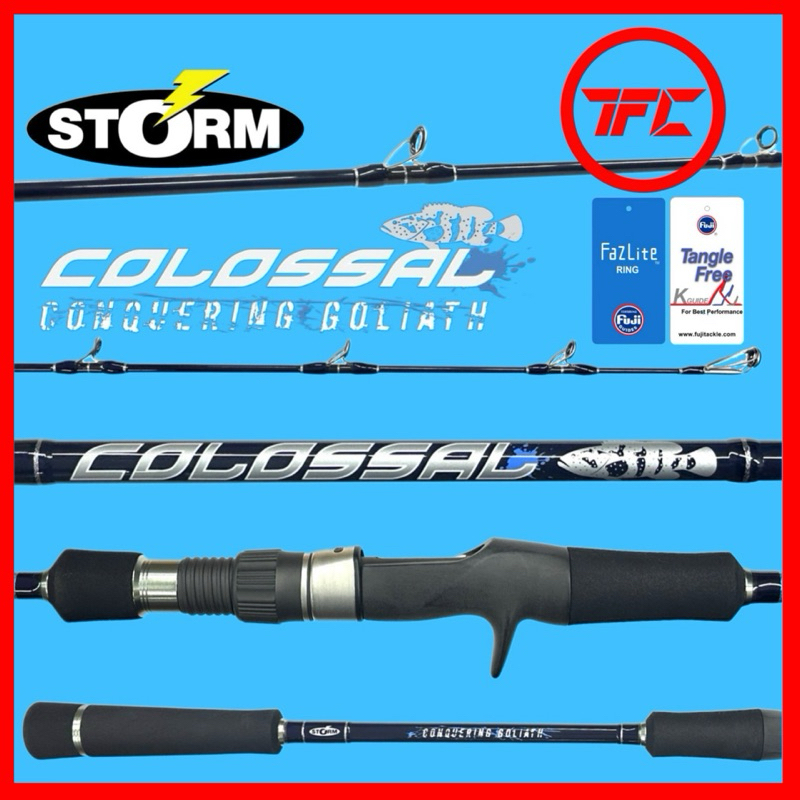 STORM COLOSSAL PE6 Heavy Overhead & Spinning Fishing Rod Saltwater SW  Jigging Bottom Conquering Goliath Baitcast BC