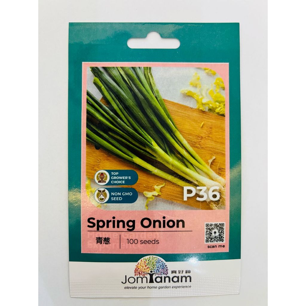 Benih Daun Bawang /Spring Onion Seeds/ P36 (100 seeds) | Shopee Malaysia