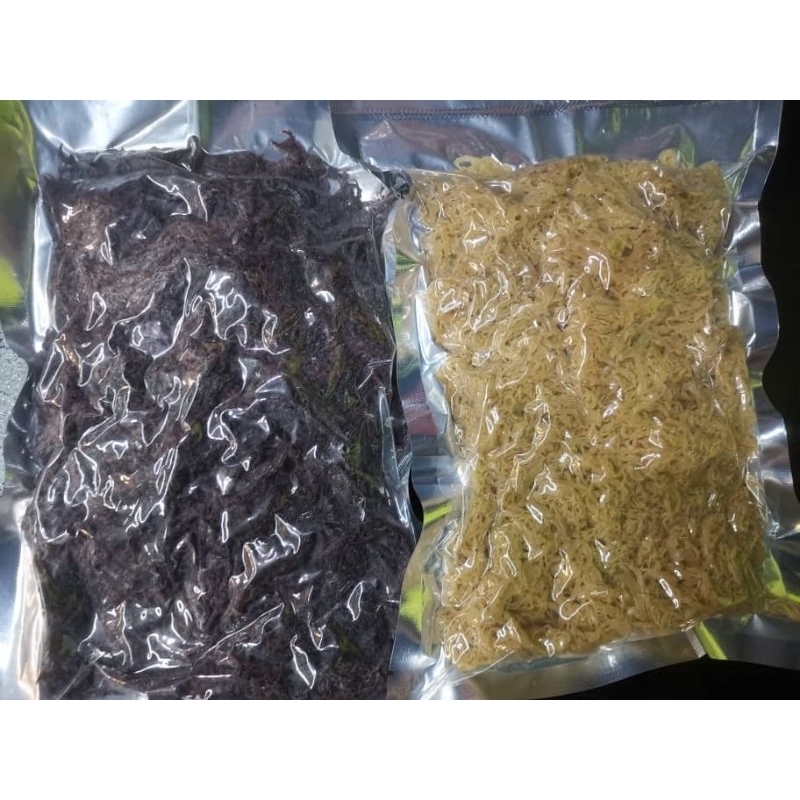 Rumpai Laut sabah ( 500g) | Shopee Malaysia