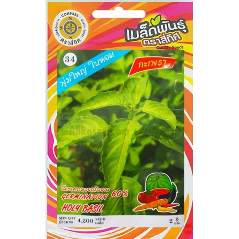 🌱Ready Stock 🌱Imported Holy Basil Leaves Seeds | Shopee Malaysia