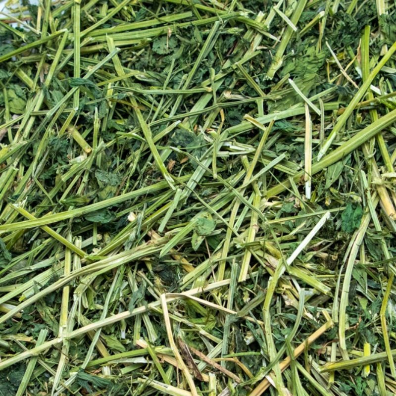 Photo inspiration: Visual Reference: Alfalfa Hay 500G 1Kg Feed For Guinea Pig Small Pets