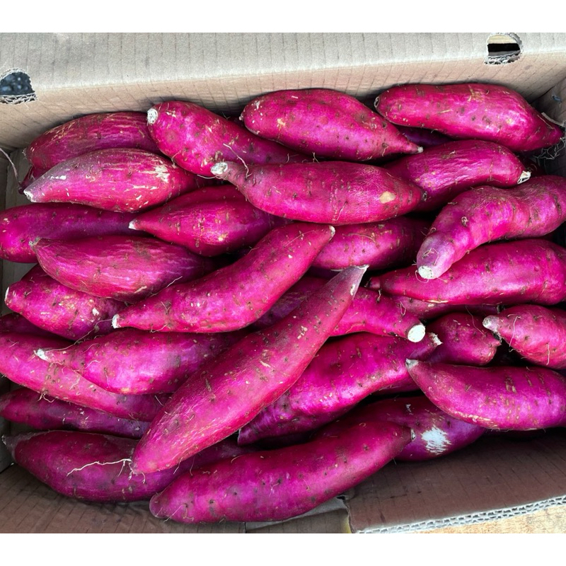 IMPORTED Premium Purple Sweet Potatoes Shopee Malaysia