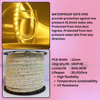 LED 12mm Strip Light 180L Flexible Neon Tube Led 2835 220V 4000K Warm ...