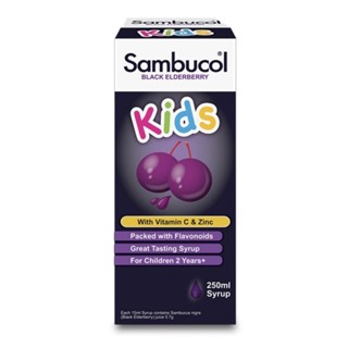 Sambucol Black Elderberry Kids with Vitamin C And Zinc 250ml / 120ml ...