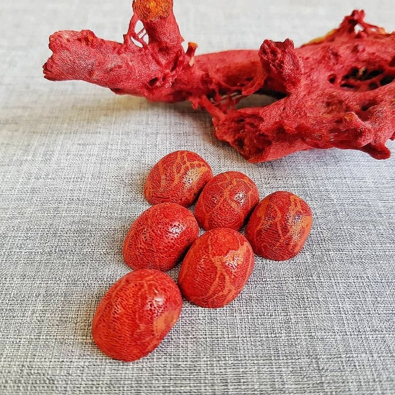 Permata Marjan Merah Asli (RARE/LANGKA/100% ASLI) Handmade | Shopee ...