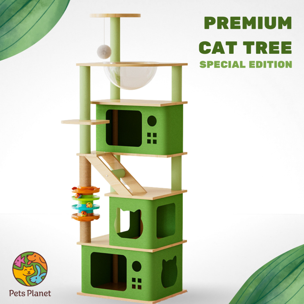 Green Wooden Cat Tree | Sisal Cat Tree Scratcher 3 Level | Cat Bed ...