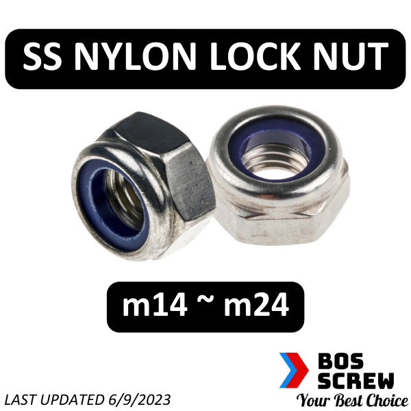 SS Nylon Lock Nut m14 m24 (DIN985) (Stainless Steel Locking Nut), 304