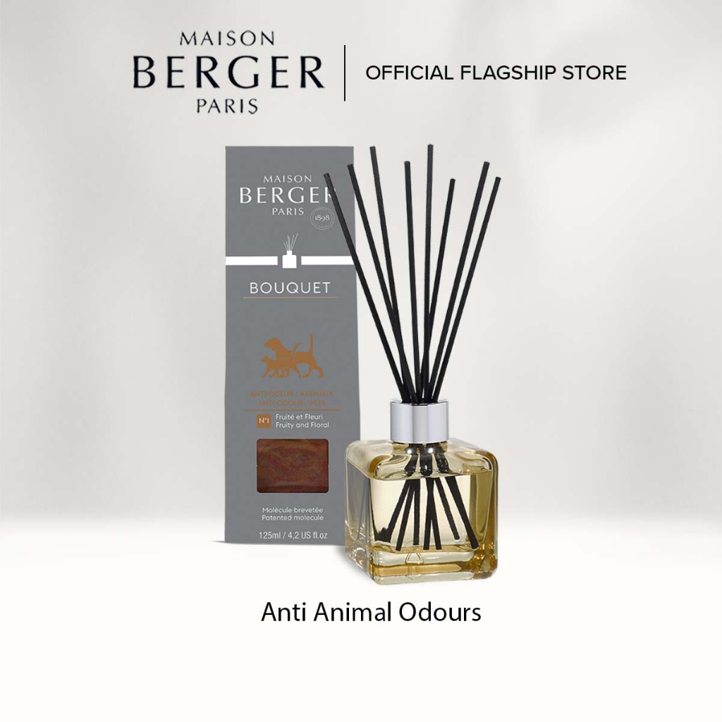 Maison Berger Paris Scented Cube - Anti Animal Odours Frosted (Reed ...