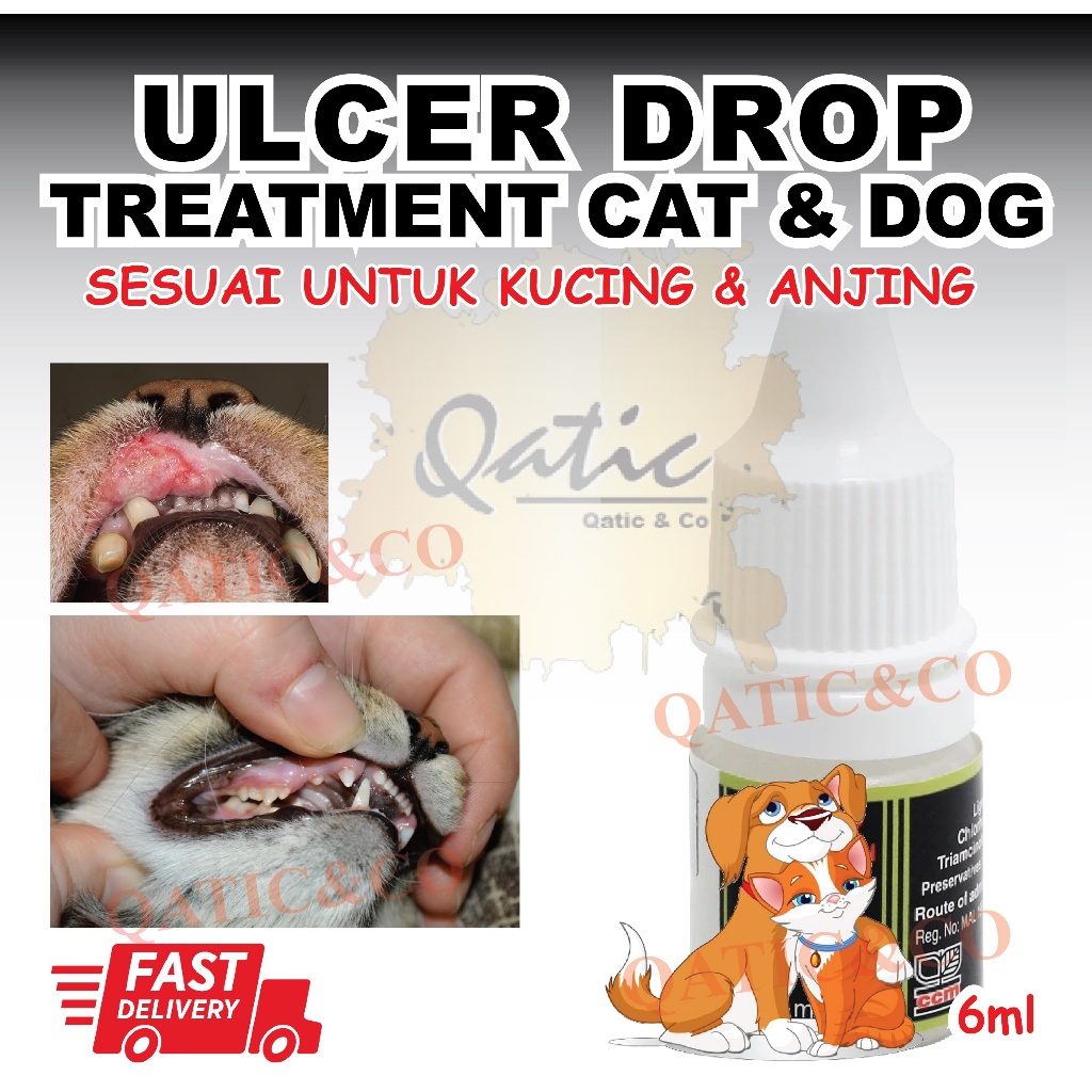 💥Fast result💥ubat ulcer / ulser mulut kucing , sakit mulut kucing, cat dog ulcer drop Shopee