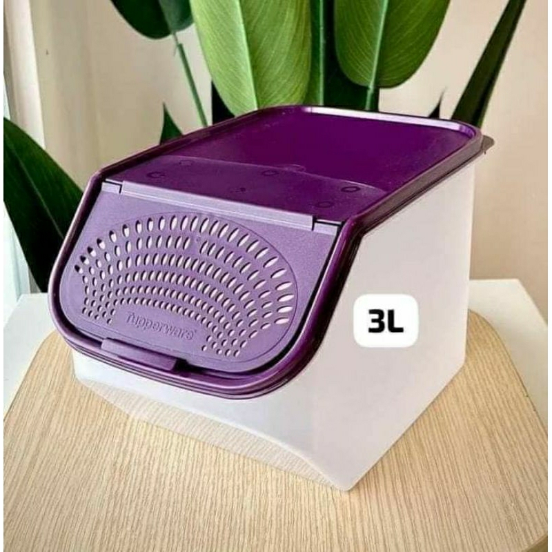 Garlic Keeper Tupperware Shopee Malaysia