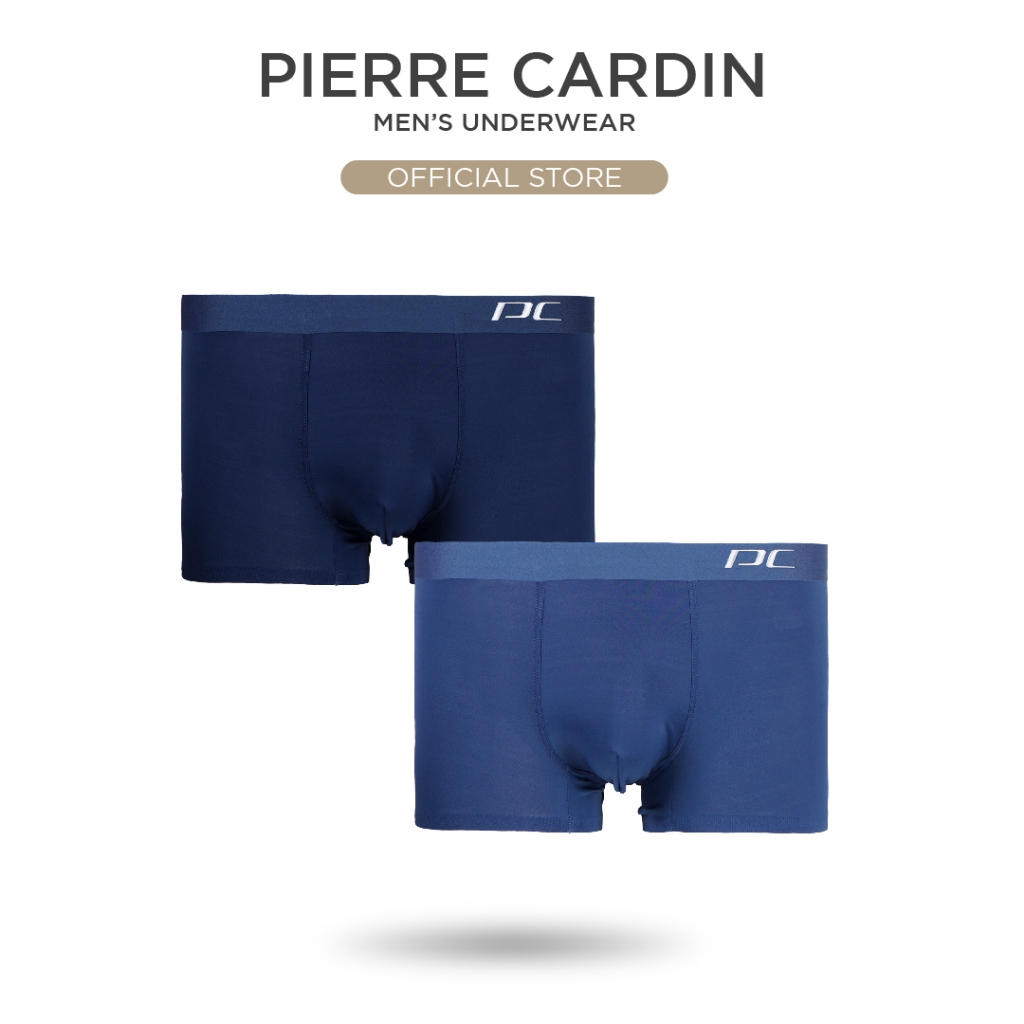 Pierre 2024 cardin underwear