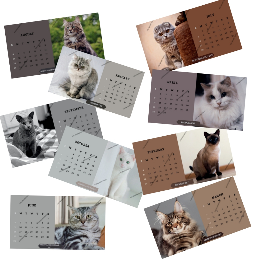 12 CATS 2024 CALENDAR PRINTABLE PDF Shopee Malaysia   My 11134207 7r98s Loy5h779v5owf3