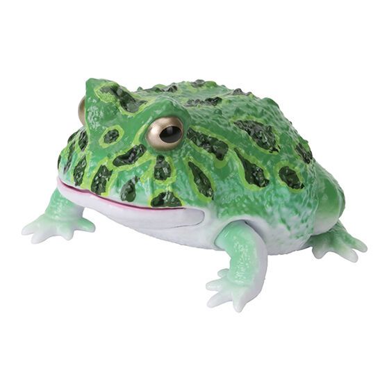 FROGまとめ売り 71n8jFkQj5L._AC_SY200_QL15_.jpg