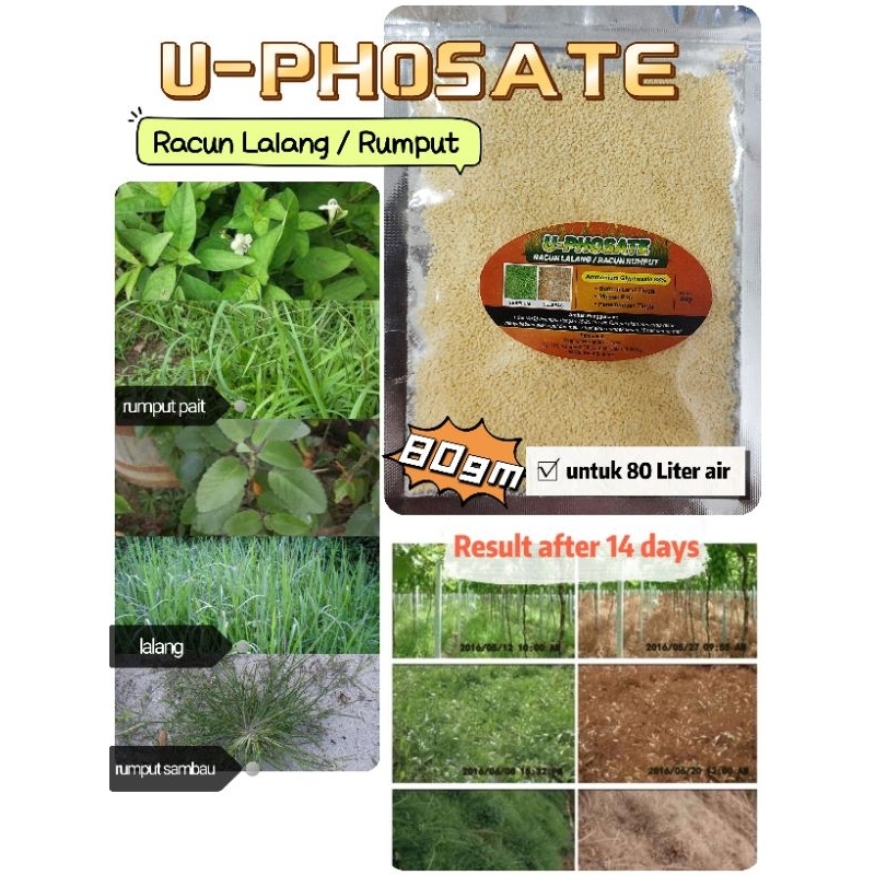 Racun Rumput Uphosate Ken Up Round up 80gm untuk 80 liter air racun ...