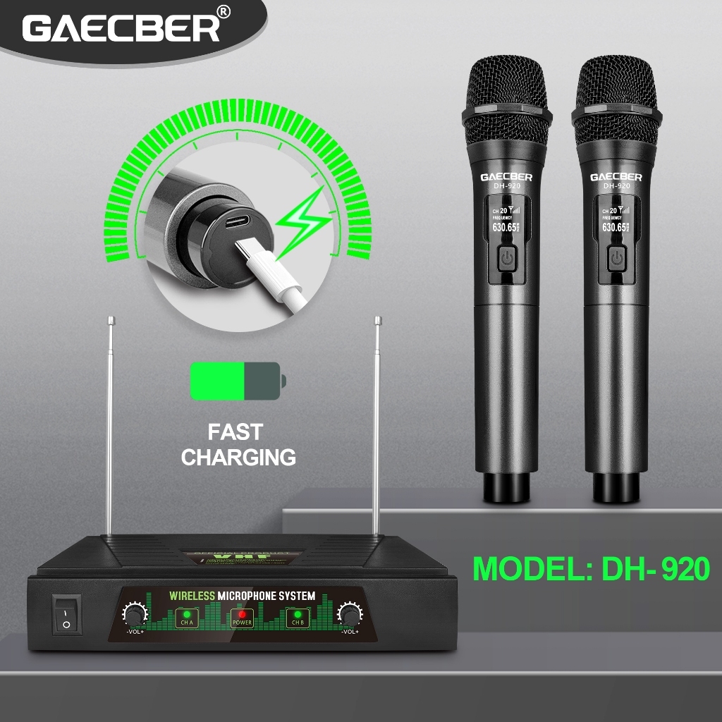 Wireless microphone rechargeable DH920 dual handheld reception distance ...