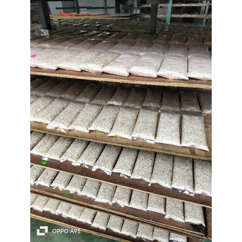 tempe seringgit dalam plastik | Shopee Malaysia