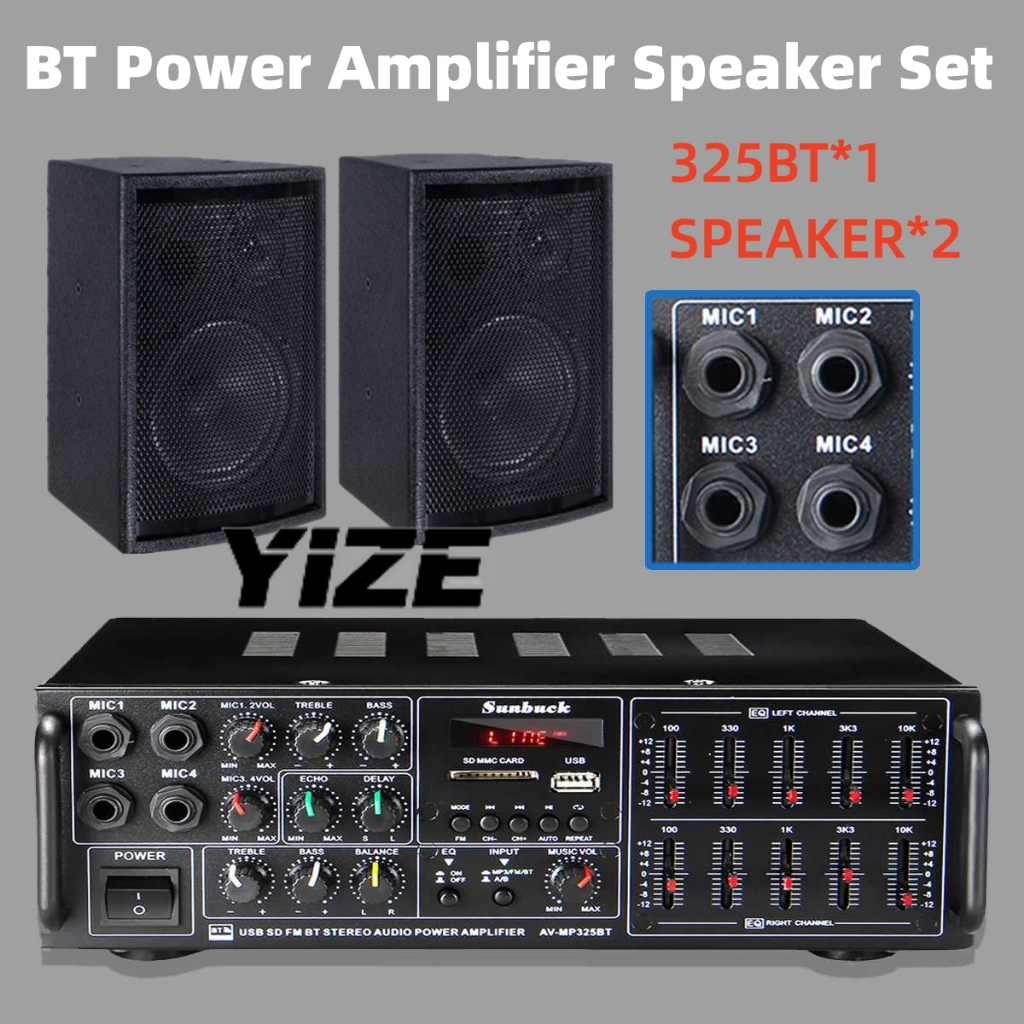 Professional amplifier best sale speaker system