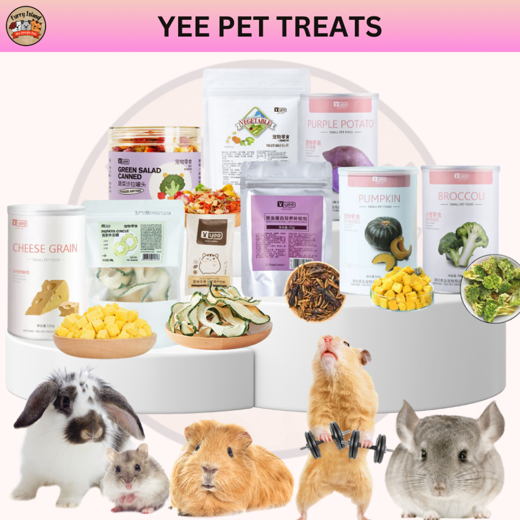 Healthy treats outlet for guinea pigs