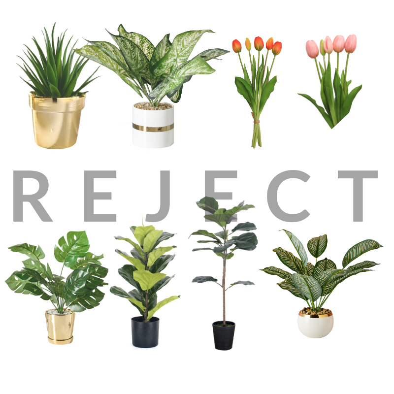 REJECT Artificial Fake Realistic Monstera Dieffenbachia Yucca Succulent