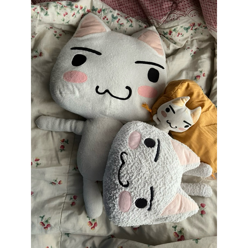 Doko Demo Issyo Toro Inoue Official Plush | Shopee Malaysia