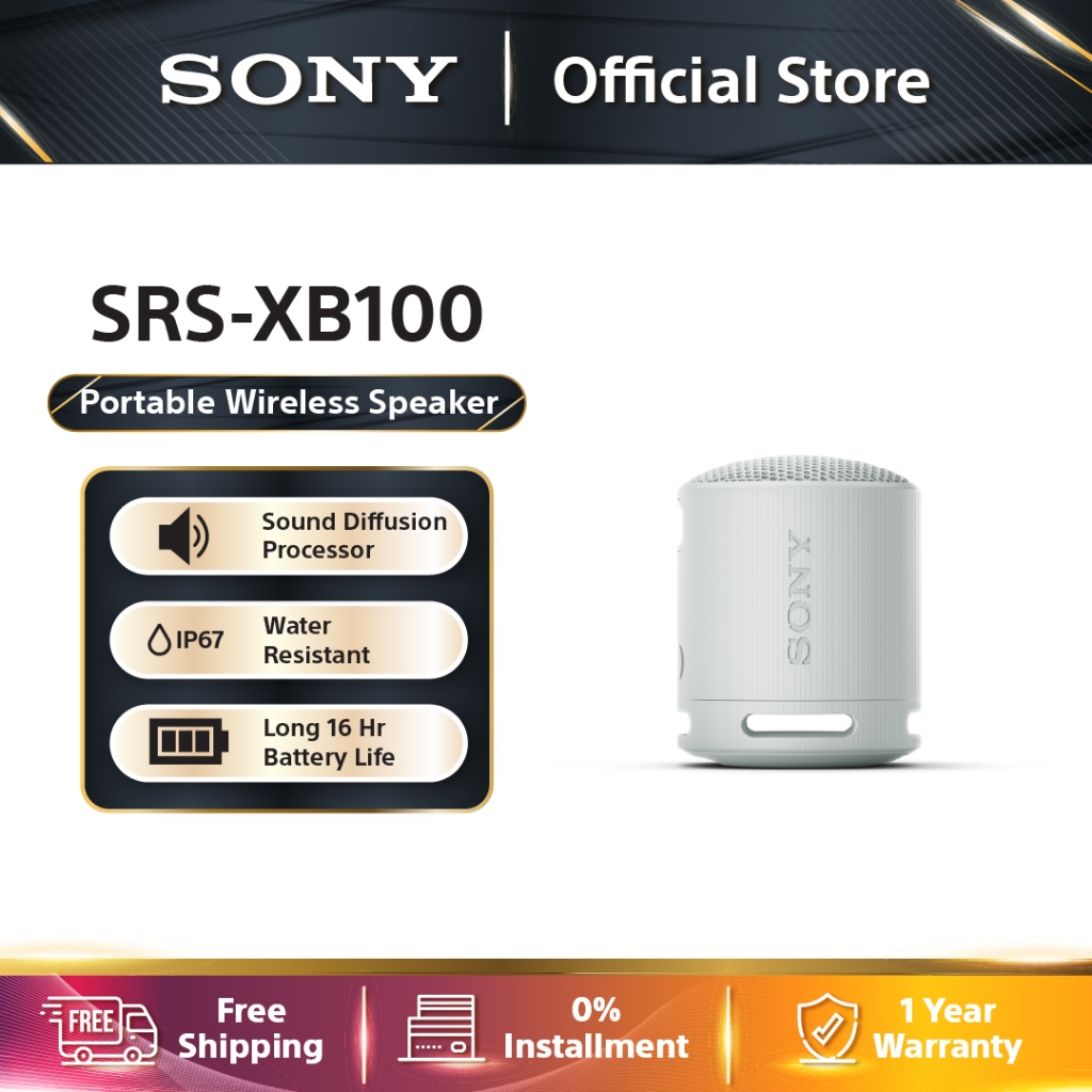 Sony best sale srs x10