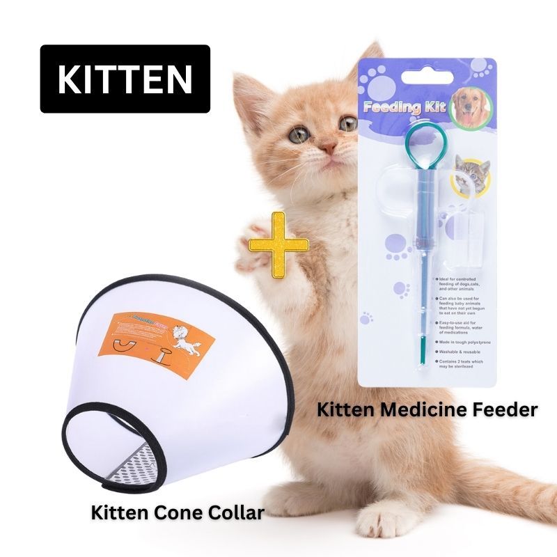 Kitten e collar best sale