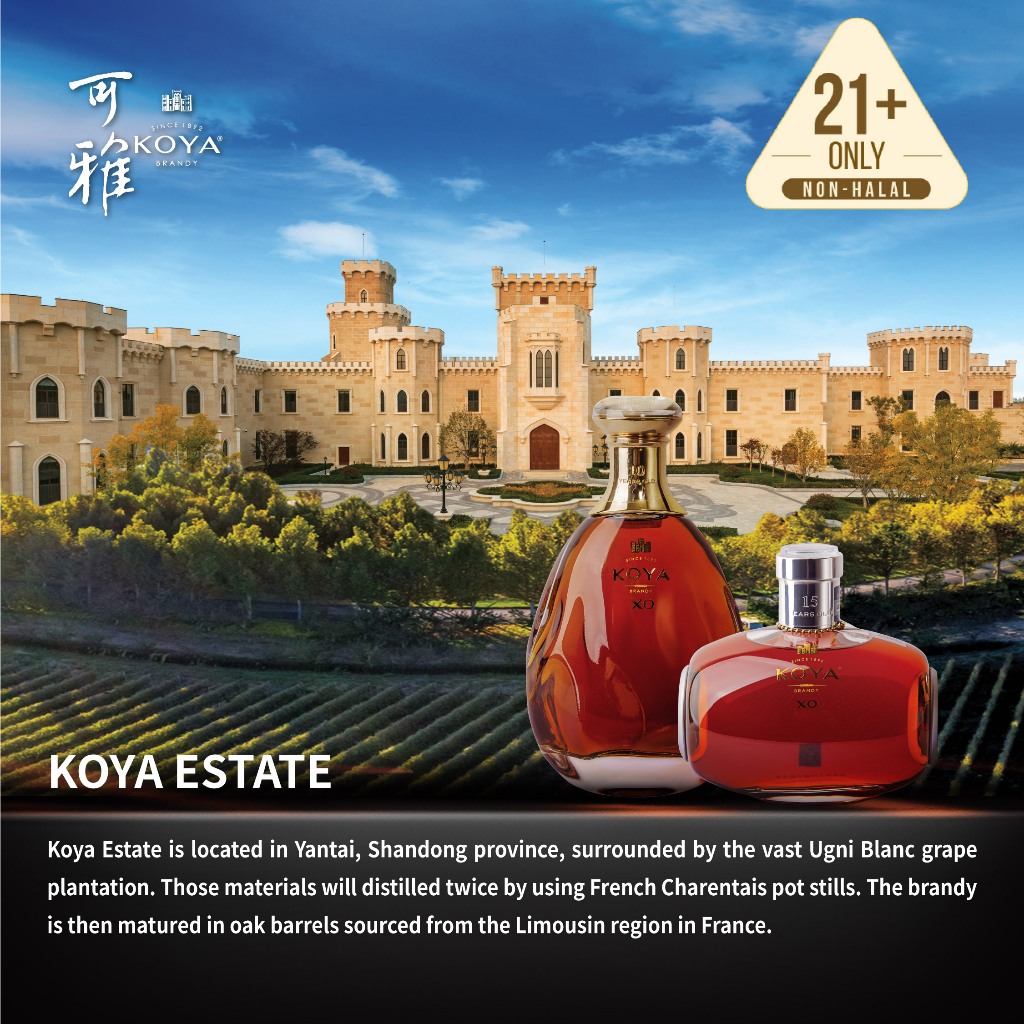 KOYA 可雅桶藏10年XO 白兰地40% 700ml - KOYA XO Brandy 10 Years 40