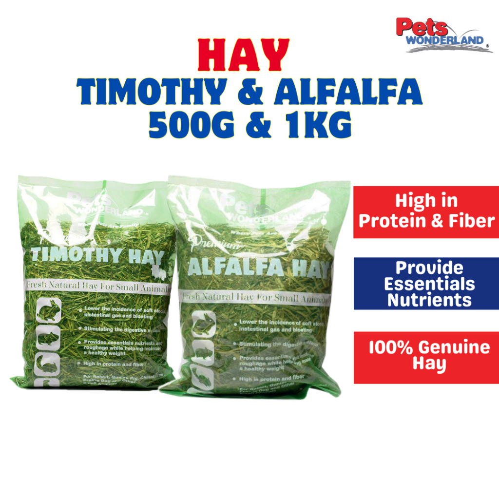 Nutrient Rich Hay For Guinea Pigs