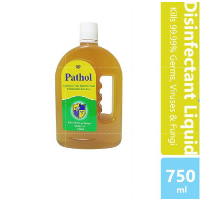 Pathol Antiseptic Germicid (Antiseptic/Disinfectant Liquid) (750ml ...