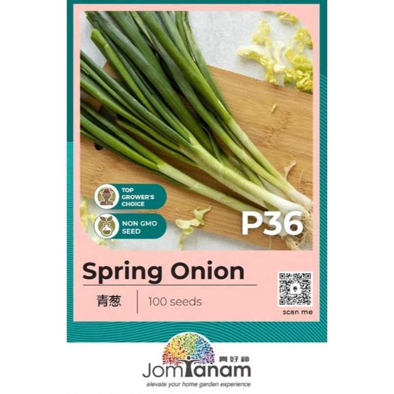 Spring Onion Seeds P36 JT-P36 | Shopee Malaysia