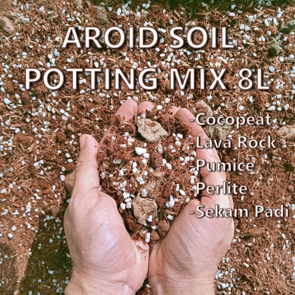 2Litre/8 Litre Aroid Soil/ Aroid Potting Mix/Ready to use for Anthurium ...