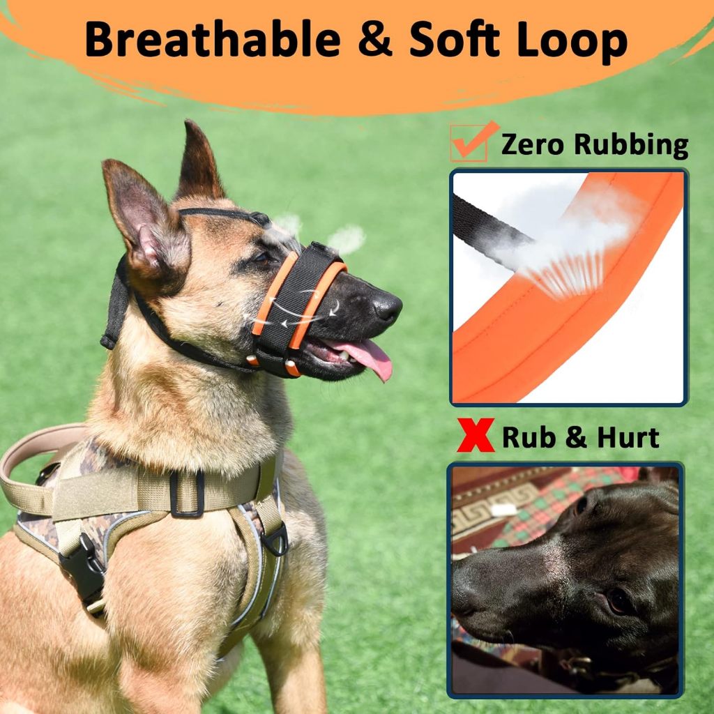 Large dog muzzle petsmart online