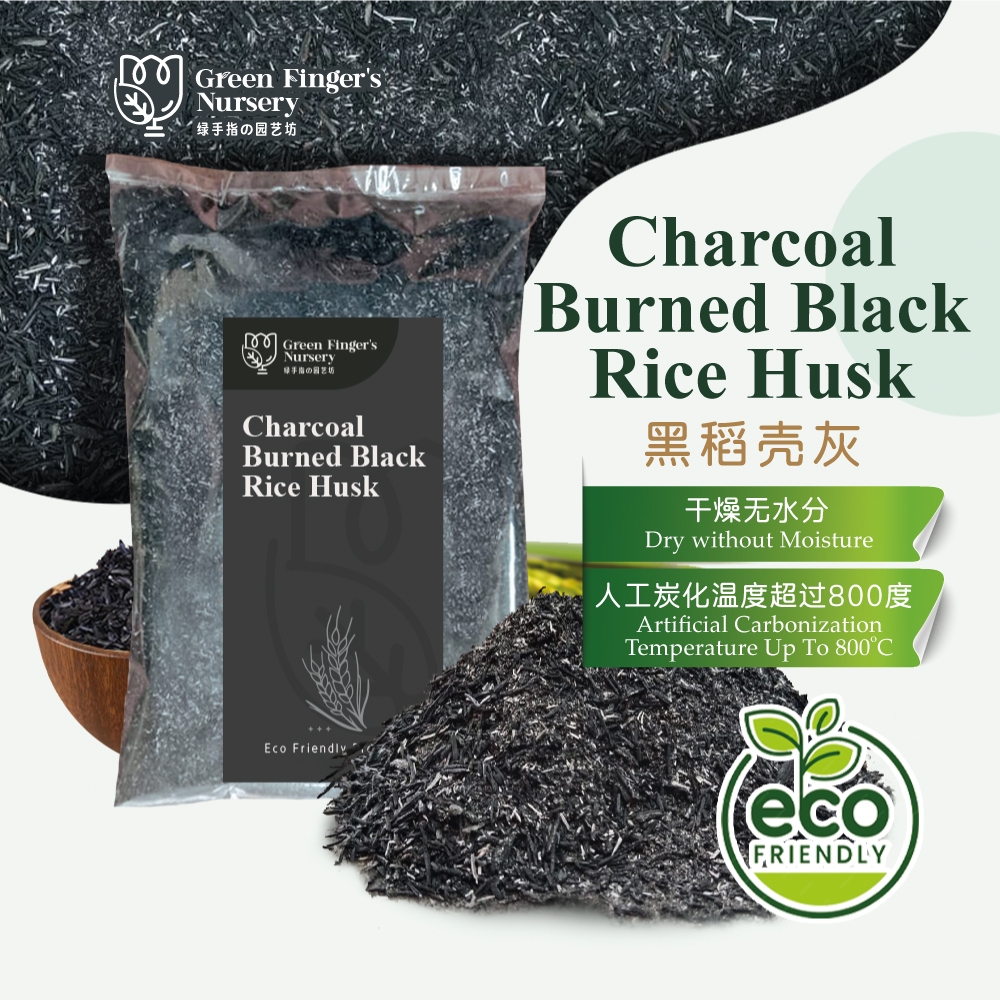 (1kg) High Quality Charcoal Burned Black Rice Husk / Soil for Plant ...