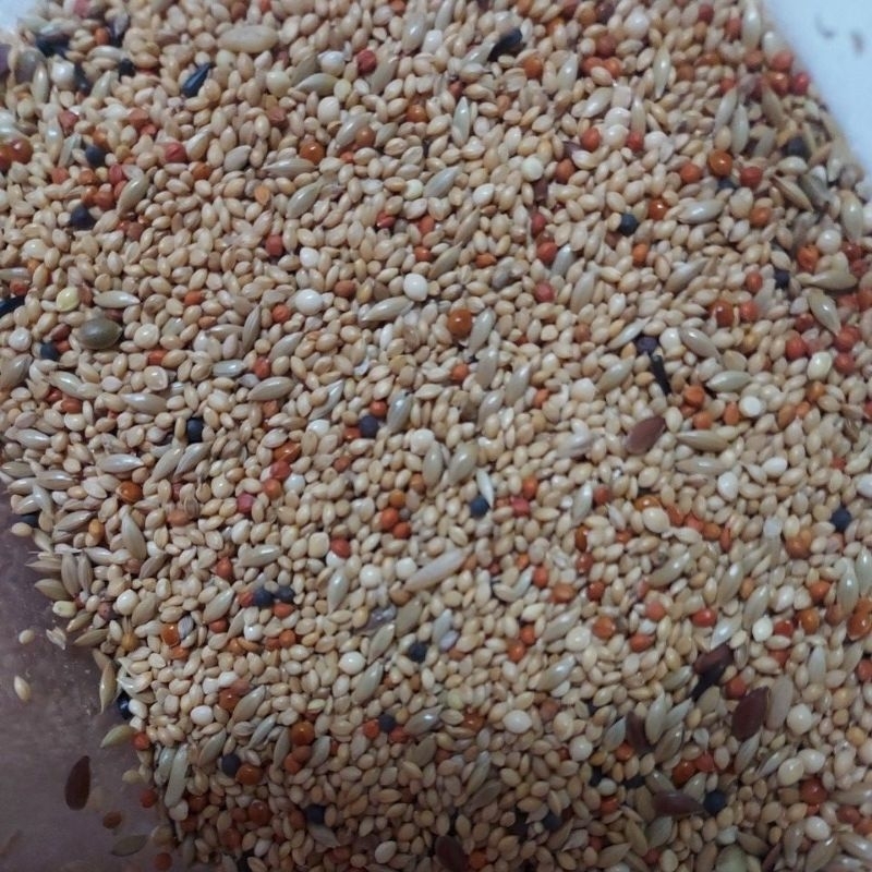 PC Progress tropical finch ( untuk semua jenis burung pipit) -/+1kg ...