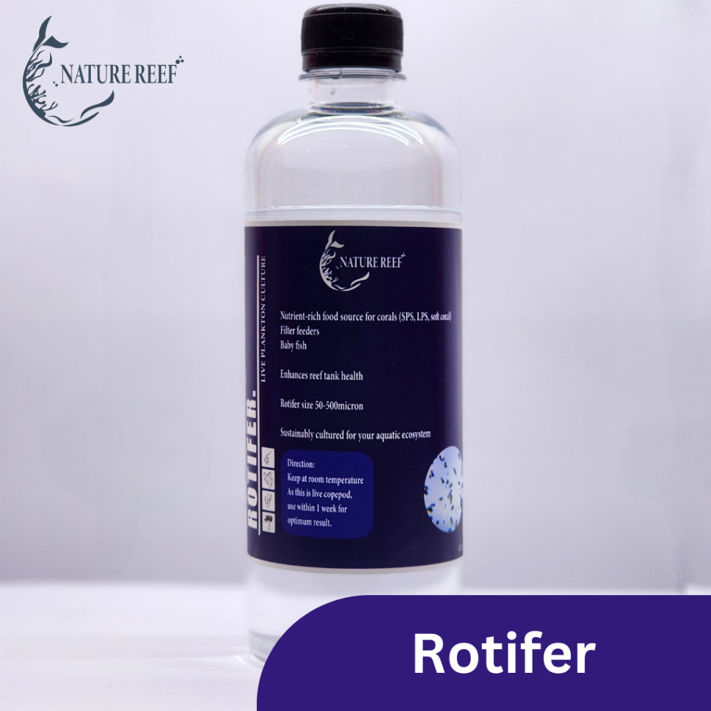 Rotifer (Branchionus sp.)400ml, Plankton culture, Marine tank/Saltwater ...