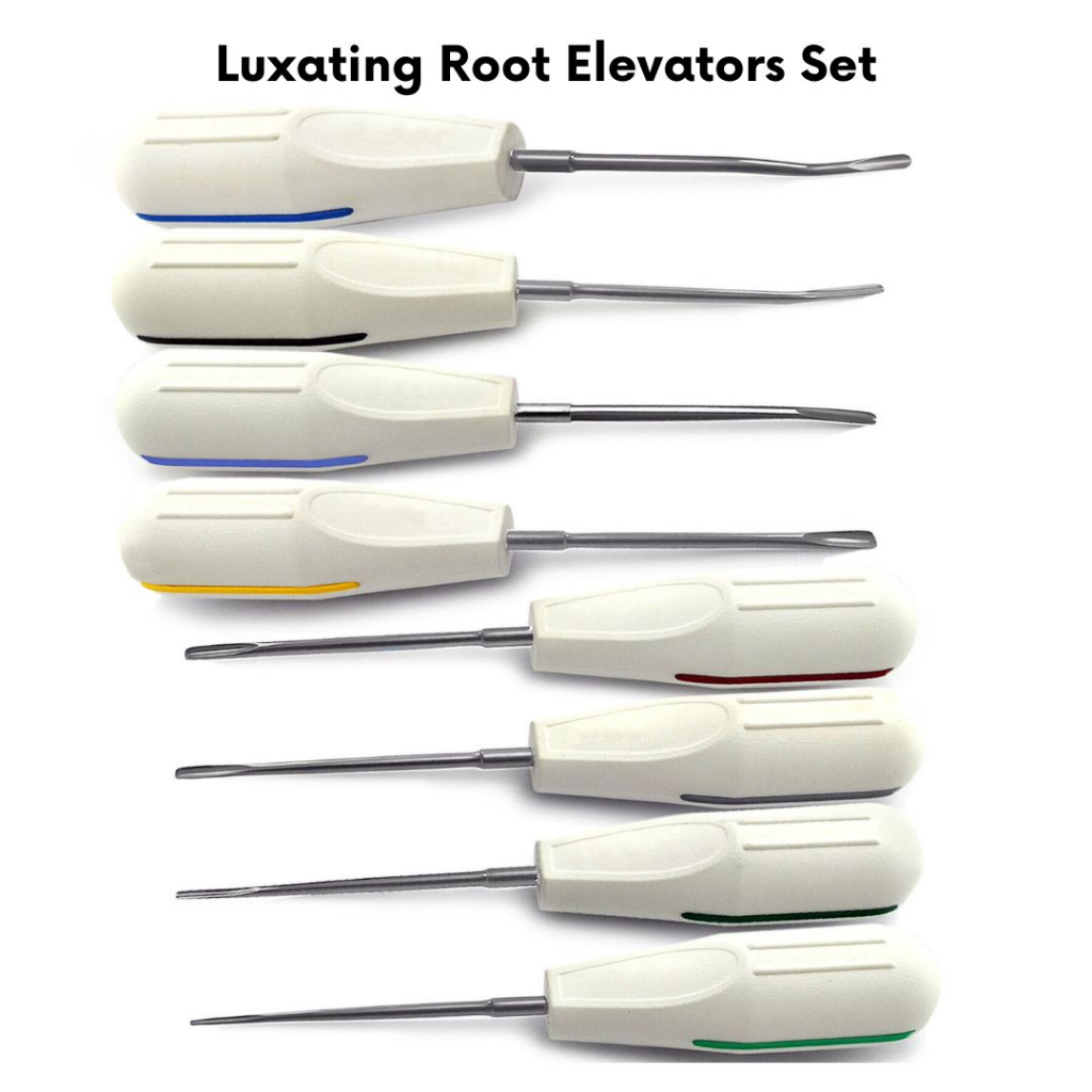 Dental Curved Root Elevator Fragment Luxating Elevators Tooth