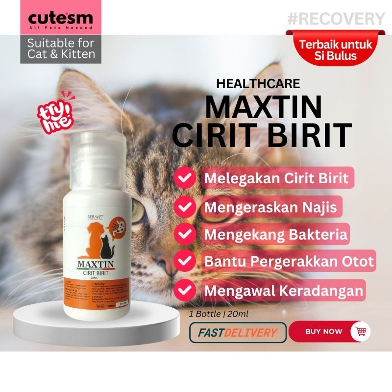 Cat & Kitten 𝐔𝐁𝐀𝐓 𝐊𝐔𝐂𝐈𝐍𝐆 𝐂𝐈𝐑𝐈𝐓 𝐁𝐈𝐑𝐈𝐓 . Berak Cair dan Pucat & Berdarah