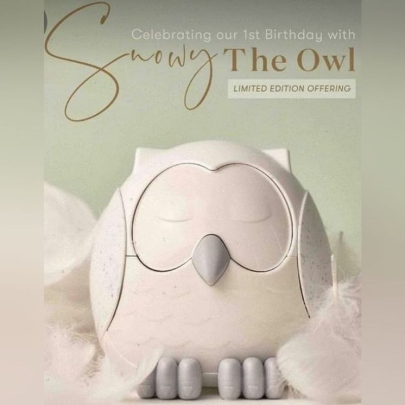 Snowy hotsell the owl diffuser