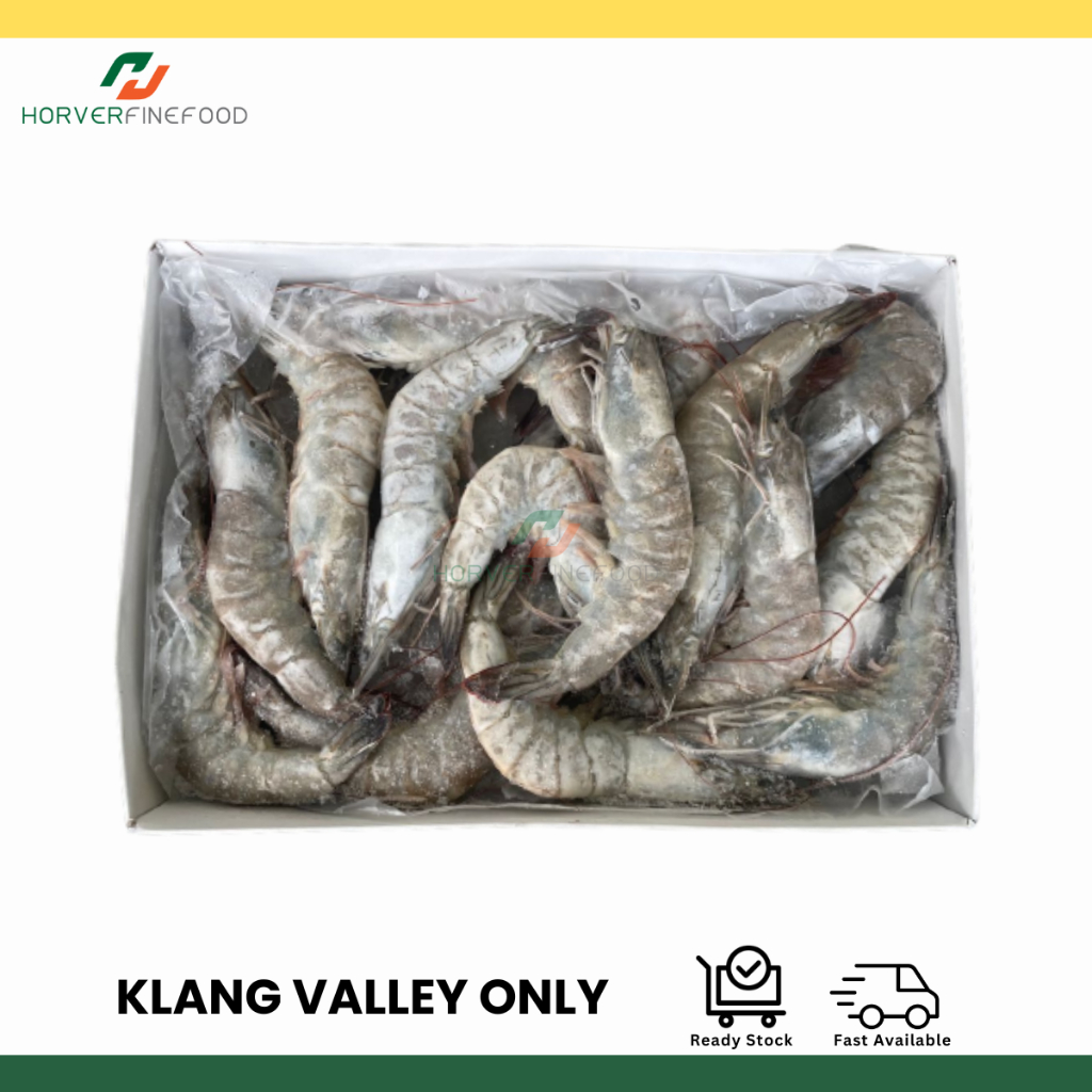 [frozen] Sabah Raw Vannamei Prawn Hoso 31 40 500gm ±20pcs 南美白虾 [klang